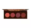 BH COSMETICS NUDE EGO FLATTER ME PALETTE MIT ROUGES IDGAF 8,2G