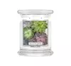 KRINGLE CANDLE DUFTKERZE MITTLERES GLAS MIT 2 DOCHTEN SUCCULENTS 411G