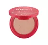 PASTEL PRO FASHION STARDUST HIGHLIGHTER 321 8G