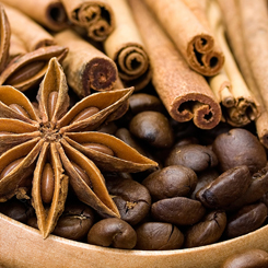 BingoSpa Slim & Strong Zimt-Koffein-Konzentrat für die Nacht mit Hyaluronsäure