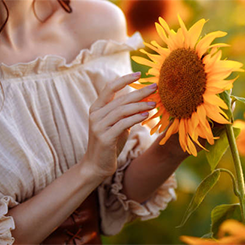 Elizabeth Arden Sunflowers