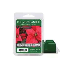 COUNTRY CANDLE DAYLIGHT DUFTWACHS HOME FOR CHRISTMAS 64G