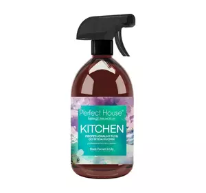 BARWA PERFECT HOUSE KITCHEN PROFESSIONELLER KÜCHENREINIGER 500ML