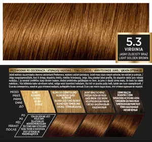 LOREAL PARIS RECITAL PREFERENCE HAARFARBE G 5.3