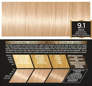 LOREAL PARIS RECITAL PREFERENCE HAARFARBE Z 9.1