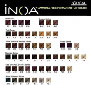 LOREAL PROFESSIONNEL iNOA HAARFARBE OHNE AMMONIAK 4,0 60G