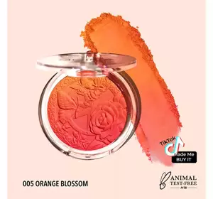 MOIRA SIGNATURE WANGENROUGE OMBRE 05 ORANGE BLOSSOM 9G