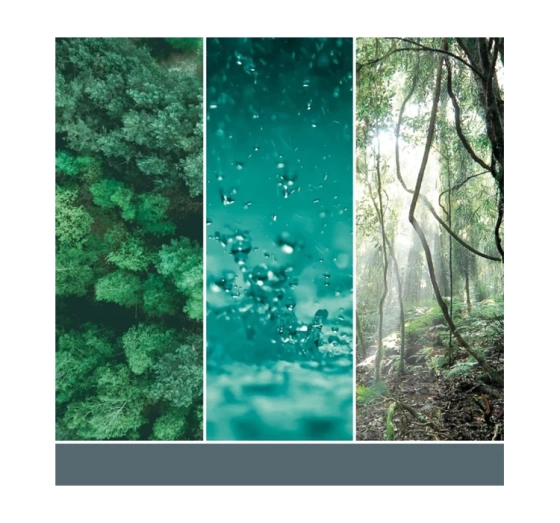 Kliknij na zdjęcie, aby je powiększyć Yankee Candle Signature Tumbler Große Duftkerze Bayside Cedar 567 g