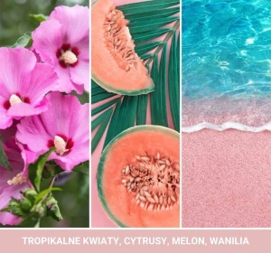 Yankee Candle Signature Mini Duftkerze Pink Sands 37 g