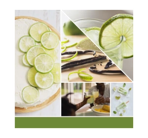 Yankee Candle Signature Mini Duftkerze Vanilla Lime 37 g