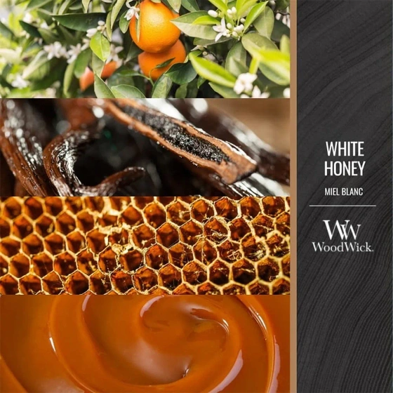 Woodwick Medium Jar Candle – mittelgroße Duftkerze „White Honey“, 275 g