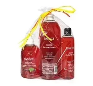 BINGOSPA TORFPFLEGESET DUSCHGEL + BADELOTION + PELOIDSEIFE MIT GINKGO