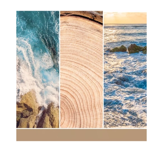 Kliknij na zdjęcie, aby je powiększyć Yankee Candle Duftwachs Amber & Sandalwood 22 g