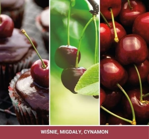 YANKEE CANDLE CAR JAR ULTIMATE AUTODUFT BLACK CHERRY