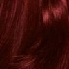 Garnier Color Sensation Dauerhaarfarbe 4.60 Dunkelrot