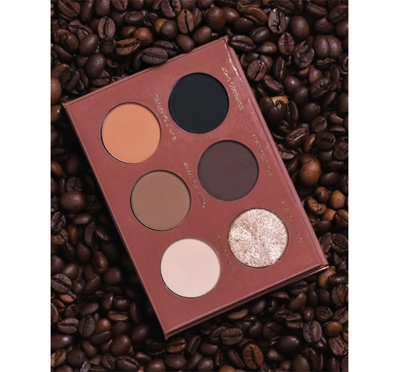 Pierre Rene Lidschattenpalette Espresso 6x1,3g