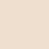 NAM Dewy Foundation flüssige Grundierung 02N Naked 30ml