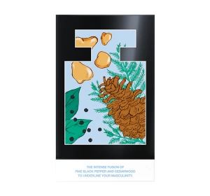 Mexx Black Man Eau de Toilette Spray 50 ml