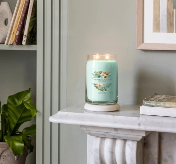 Yankee Candle Signature Große Duftkerze Aloe & Agave 567 g