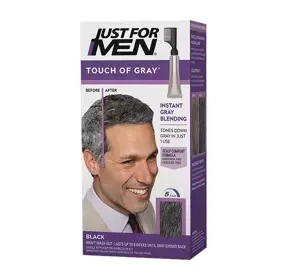 JUST FOR MEN LEICHTE HAARFARBE FÜR MÄNNER T-55 BLACK 40G
