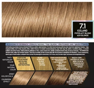 L'Oréal Paris Preference Haarfarbe 7.1 Iceland