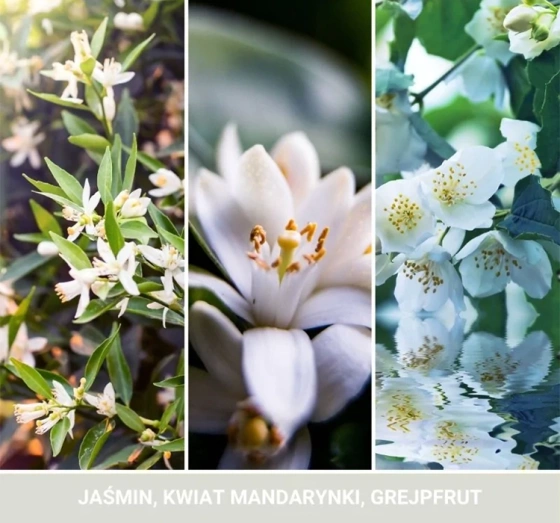 Yankee Candle Signature Mini Duftkerze Midnight Jasmine 37 g