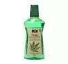 Xpel XOC Hemp Mundwasser 500 ml