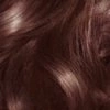 Garnier Color Sensation Haarfarbe 4.15 Frostige Kastanie