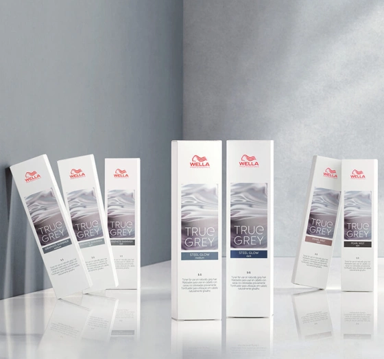 WELLA PROFESSIONALS TRUE GREY TONER FÜR GRAUES HAAR STEEL GLOW MEDIUM 60ML