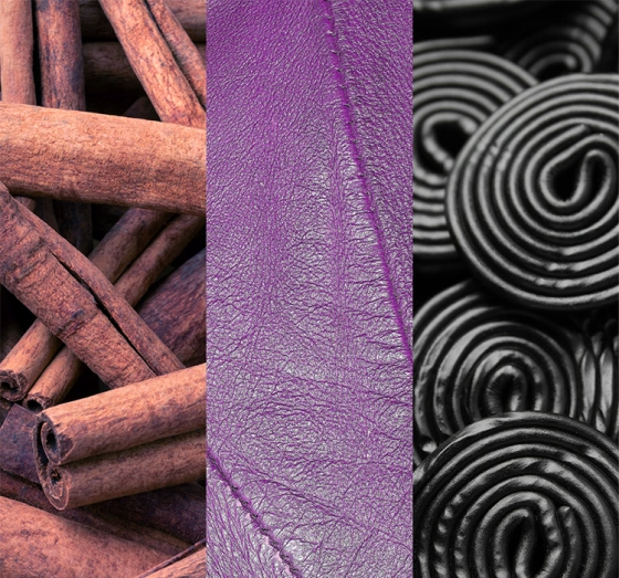 Yankee Candle Signature Tumbler Kleine Duftkerze Mystical Tarot Card 122 g