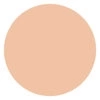 CATRICE ULTIMATE CAMOUFLAGE CREME CONCEALER 010N IVORY 3G