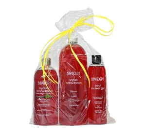 BINGOSPA Moor-Kosmetikset: Duschgel 300 ml + Moorbad 1000 ml + Moorseife 500 ml