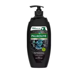 Palmolive Men Refreshing 3-in-1-Duschgel für Körper, Gesicht und Haare, 750 ml