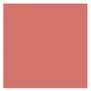 GOLDEN ROSE CREAMY BLUSH STICK STIFT-ROUGE 110