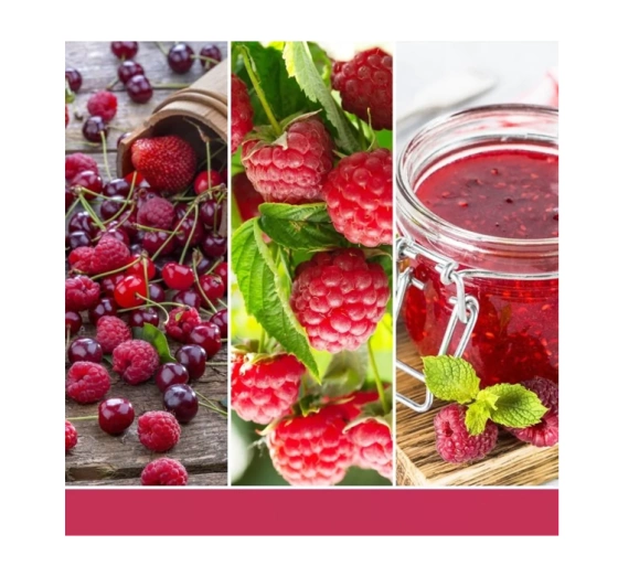 Kliknij na zdjęcie, aby je powiększyć Yankee Candle Signature Mini Duftkerze Red Raspberry 37 g