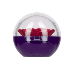 Wibo Ritual Rose Cremiges Rouge Rose 5 g