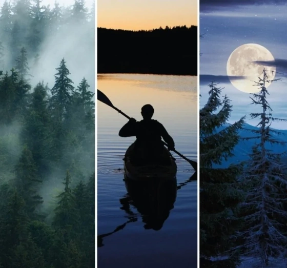 Kliknij na zdjęcie, aby je powiększyć Yankee Candle Signature Mini Duftkerze Midsummer's Night 37 g