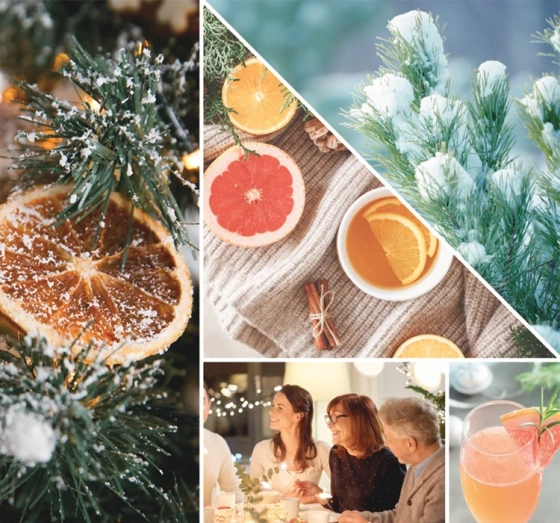 Kliknij na zdjęcie, aby je powiększyć Yankee Candle Signature Tumbler – große Duftkerze „White Spruce & Grapefruit“, 567 g