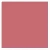 GOLDEN ROSE CREAMY BLUSH STICK STIFT-ROUGE 109