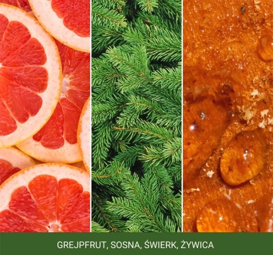 Kliknij na zdjęcie, aby je powiększyć Yankee Candle Signature Mini-Duftkerze White Spruce & Grapefruit 37 g