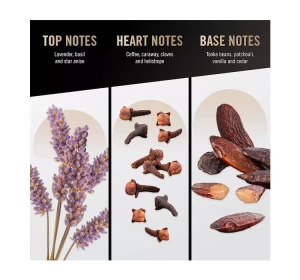 Bruno Banani Man Eau de Toilette Spray 100 ml