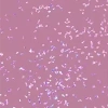 SEMILAC SHIMMER DUST HYBRIDLACK UV 319 SHIMMER DUST PINK 7ML