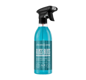 CLEANGANG GLOSS BLOSS GLASREINIGER SILVER CLOUDS 500ML