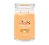 YANKEE CANDLE SIGNATURE DUFTKERZE MANGO ICE CREAM 567G