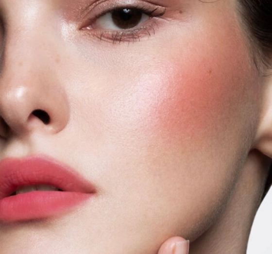 Kliknij na zdjęcie, aby je powiększyć Pastel Full Bloom Lip & Blush Lippenstift & Rouge 81 Dare 4,8 ml