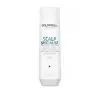 GOLDWELL SCALP SPECIALIST DEEP CLEANSING TIEFENREINIGENDES SHAMPOO 250ML