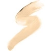 GOLDEN ROSE HD CONCEALER MIT PINSEL 04