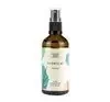 NATURE QUEEN HYDROLAT ALOE 100ML