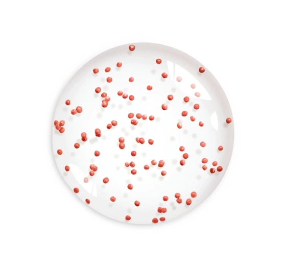 Bourjois Healthy Mix Feuchtigkeitsspendender Serum-Primer 30 ml