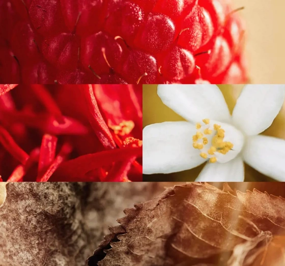 Kliknij na zdjęcie, aby je powiększyć Oriflame Giordani Gold Good as Gold Eau de Parfum Spray 50 ml + Handcreme 50 ml